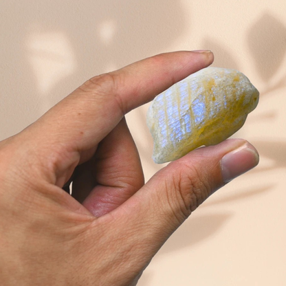 Raw Moonstone Crystals (2 Pieces)