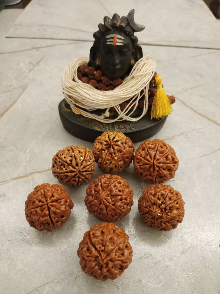 5 Mukhi Rudraksha